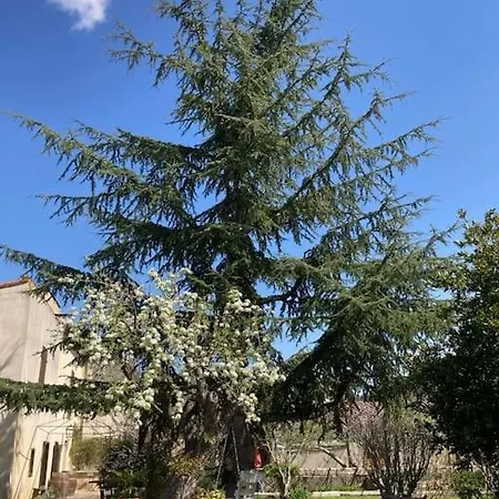 Chezmathilde à Apartamento