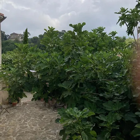 Chezmathilde A * Limoux