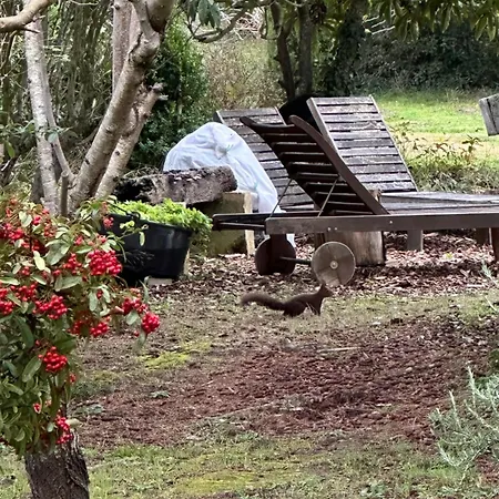 Chezmathilde à Apartamento Limoux